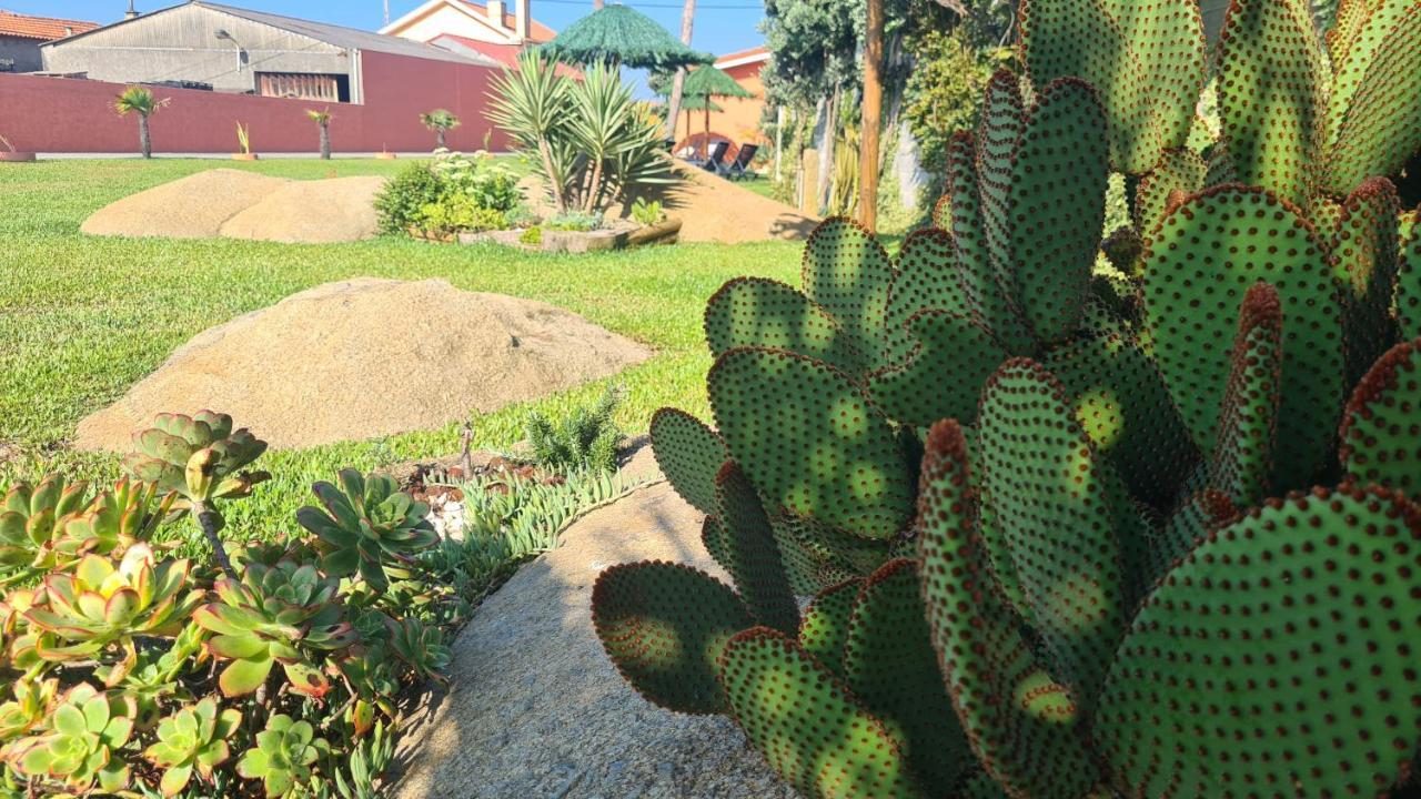 Hollidays Dreams Villa Póvoa de Varzim Екстериор снимка