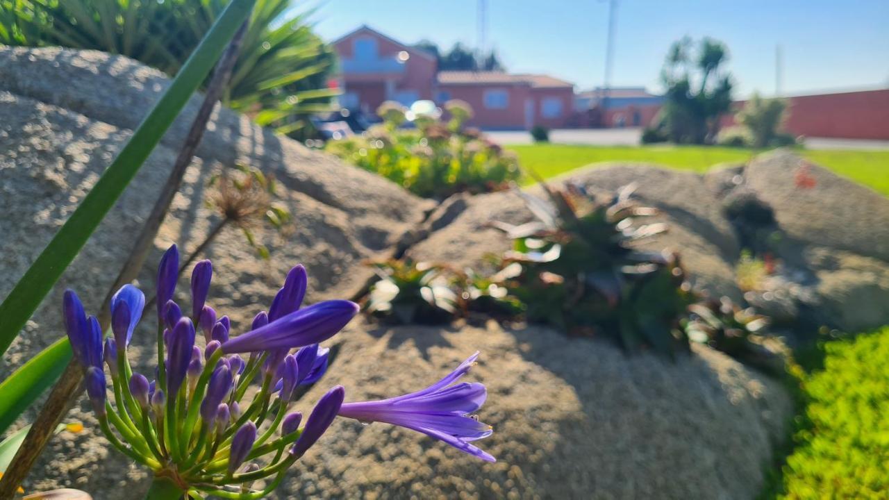 Hollidays Dreams Villa Póvoa de Varzim Екстериор снимка