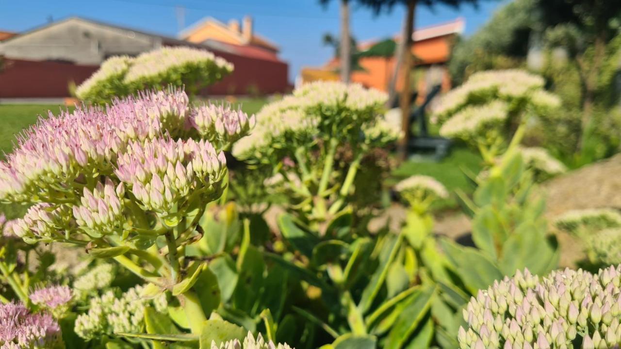 Hollidays Dreams Villa Póvoa de Varzim Екстериор снимка